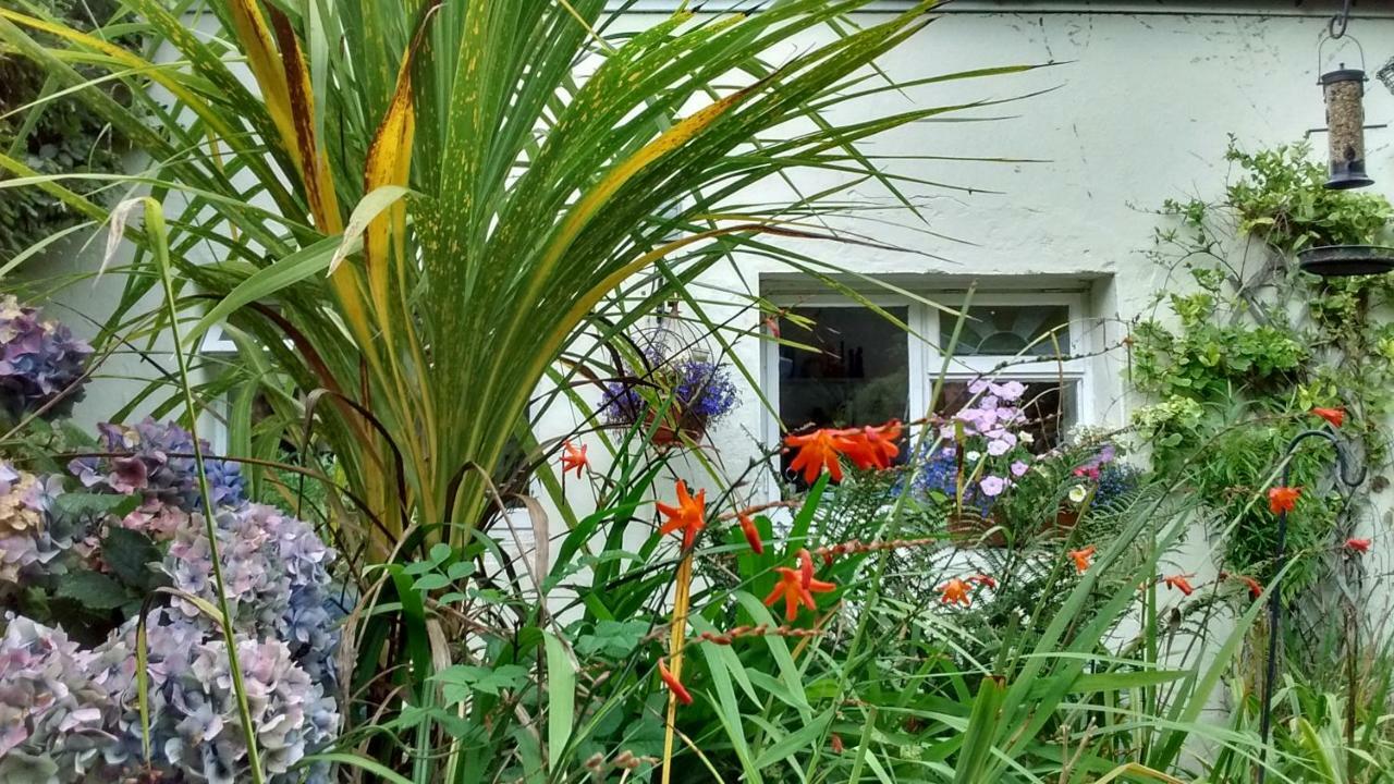 Villa Gerynant New Quay  Exterior foto